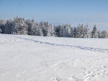 Bulgaristan 'ın Sofya Şehir Bölgesi, Vitosha Dağı' nın İnanılmaz Kış manzarası