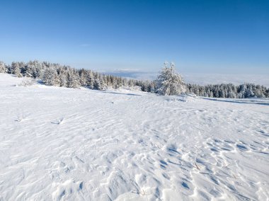 Bulgaristan 'ın Sofya Şehir Bölgesi, Vitosha Dağı' nın İnanılmaz Kış manzarası