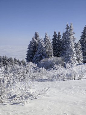Bulgaristan 'ın Sofya Şehir Bölgesi, Vitosha Dağı' nın İnanılmaz Kış manzarası