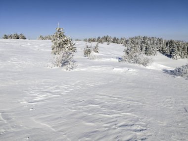 Bulgaristan 'ın Sofya Şehir Bölgesi, Vitosha Dağı' nın İnanılmaz Kış manzarası