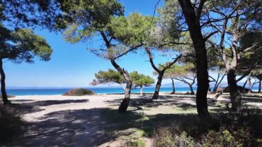 Lagoon Sahili yakınlarındaki Kassandra kıyı şeridi, Chalkidiki, Orta Makedonya, Yunanistan