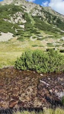 Bulgaristan 'ın Pirin Dağı' ndaki Banderitsa Nehri yakınlarındaki inanılmaz manzara