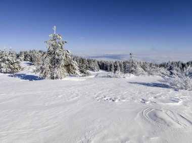 Bulgaristan 'ın Sofya Şehir Bölgesi, Vitosha Dağı' nın İnanılmaz Kış manzarası