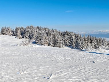 Bulgaristan 'ın Sofya Şehir Bölgesi, Vitosha Dağı' nın İnanılmaz Kış manzarası