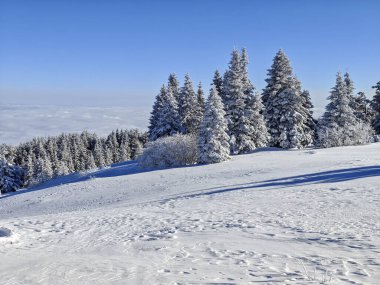 Bulgaristan 'ın Sofya Şehir Bölgesi, Vitosha Dağı' nın İnanılmaz Kış manzarası