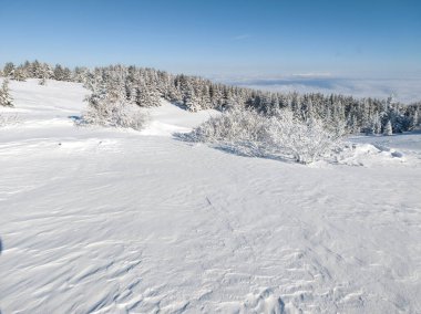 Bulgaristan 'ın Sofya Şehir Bölgesi, Vitosha Dağı' nın İnanılmaz Kış manzarası