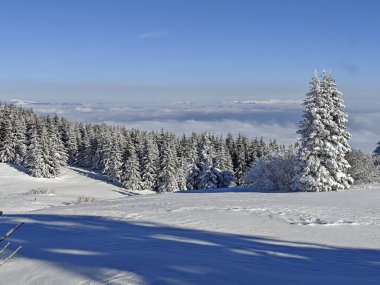 Bulgaristan 'ın Sofya Şehir Bölgesi, Vitosha Dağı' nın İnanılmaz Kış manzarası