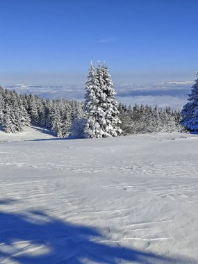 Bulgaristan 'ın Sofya Şehir Bölgesi, Vitosha Dağı' nın İnanılmaz Kış manzarası