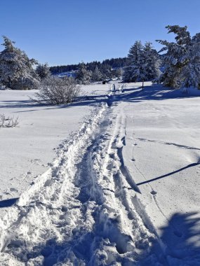 Bulgaristan 'ın Sofya Şehir Bölgesi, Vitosha Dağı' nın İnanılmaz Kış manzarası