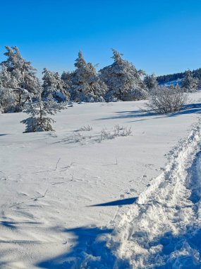 Bulgaristan 'ın Sofya Şehir Bölgesi, Vitosha Dağı' nın İnanılmaz Kış manzarası
