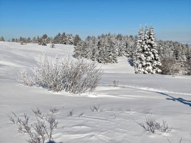 Bulgaristan 'ın Sofya Şehir Bölgesi, Vitosha Dağı' nın İnanılmaz Kış manzarası