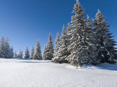 Bulgaristan 'ın Sofya Şehir Bölgesi, Vitosha Dağı' nın İnanılmaz Kış manzarası