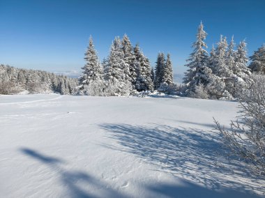 Bulgaristan 'ın Sofya Şehir Bölgesi, Vitosha Dağı' nın İnanılmaz Kış manzarası