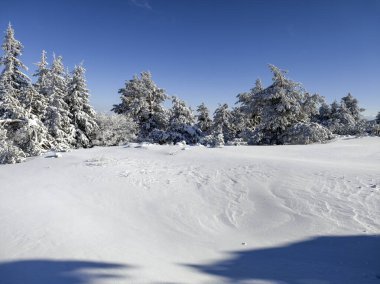 Bulgaristan 'ın Sofya Şehir Bölgesi, Vitosha Dağı' nın İnanılmaz Kış manzarası