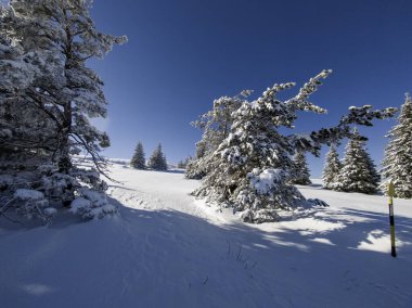 Bulgaristan 'ın Sofya Şehir Bölgesi, Vitosha Dağı' nın İnanılmaz Kış manzarası