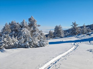 Bulgaristan 'ın Sofya Şehir Bölgesi, Vitosha Dağı' nın İnanılmaz Kış manzarası