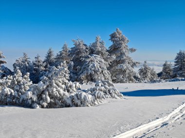 Bulgaristan 'ın Sofya Şehir Bölgesi, Vitosha Dağı' nın İnanılmaz Kış manzarası