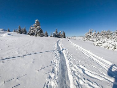 Bulgaristan 'ın Sofya Şehir Bölgesi, Vitosha Dağı' nın İnanılmaz Kış manzarası