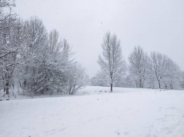 Bulgaristan 'ın Sofya kentindeki South Park' ın şaşırtıcı kış manzarası