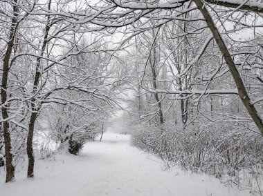 Bulgaristan 'ın Sofya kentindeki South Park' ın şaşırtıcı kış manzarası