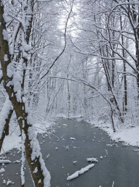 Bulgaristan 'ın Sofya kentindeki South Park' ın şaşırtıcı kış manzarası