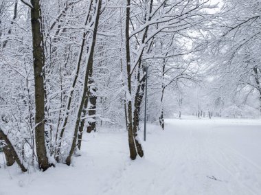 Bulgaristan 'ın Sofya kentindeki South Park' ın şaşırtıcı kış manzarası