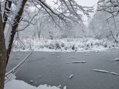 Bulgaristan 'ın Sofya kentindeki South Park' ın şaşırtıcı kış manzarası