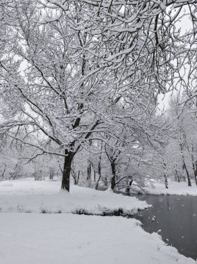 Bulgaristan 'ın Sofya kentindeki South Park' ın şaşırtıcı kış manzarası