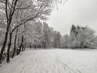 Bulgaristan 'ın Sofya kentindeki South Park' ın şaşırtıcı kış manzarası