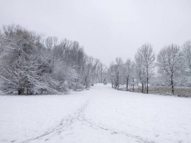 Bulgaristan 'ın Sofya kentindeki South Park' ın şaşırtıcı kış manzarası