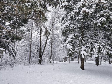 Bulgaristan 'ın Sofya kentindeki South Park' ın şaşırtıcı kış manzarası