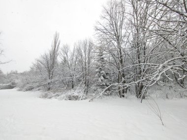 Bulgaristan 'ın Sofya kentindeki South Park' ın şaşırtıcı kış manzarası