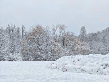 Bulgaristan 'ın Sofya kentindeki South Park' ın şaşırtıcı kış manzarası