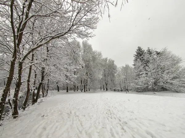 Bulgaristan 'ın Sofya kentindeki South Park' ın şaşırtıcı kış manzarası