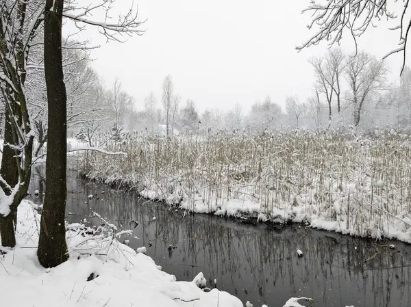 Bulgaristan 'ın Sofya kentindeki South Park' ın şaşırtıcı kış manzarası