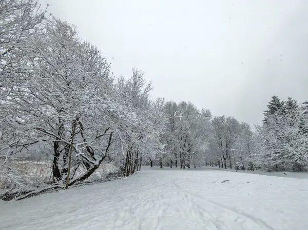 Bulgaristan 'ın Sofya kentindeki South Park' ın şaşırtıcı kış manzarası