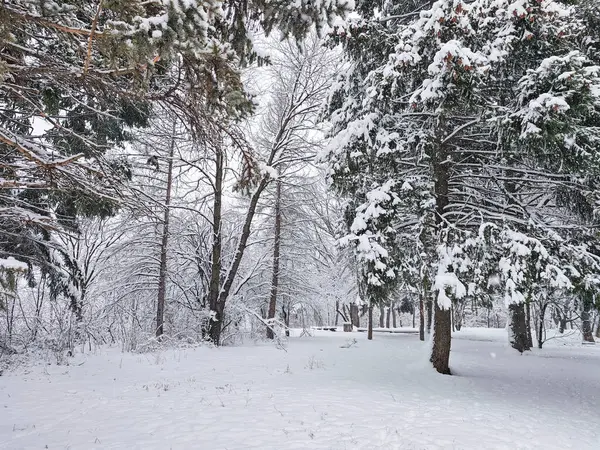 Bulgaristan 'ın Sofya kentindeki South Park' ın şaşırtıcı kış manzarası