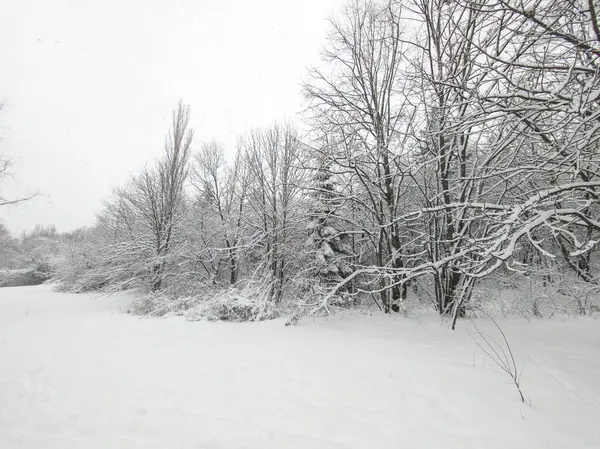 Bulgaristan 'ın Sofya kentindeki South Park' ın şaşırtıcı kış manzarası