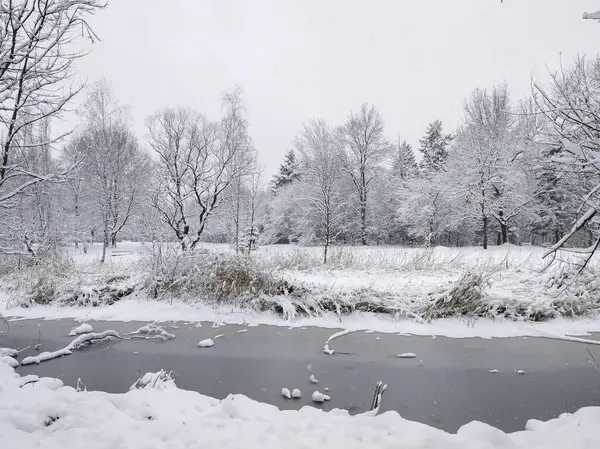 Bulgaristan 'ın Sofya kentindeki South Park' ın şaşırtıcı kış manzarası