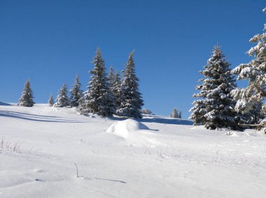 Bulgaristan 'ın Sofya Şehir Bölgesi, Vitosha Dağı' nın İnanılmaz Kış manzarası