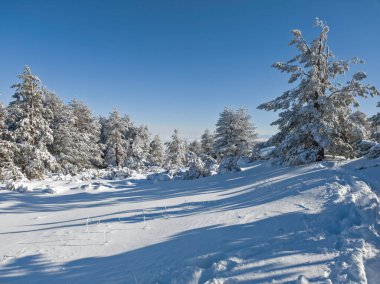 Bulgaristan 'ın Sofya Şehir Bölgesi, Vitosha Dağı' nın İnanılmaz Kış manzarası