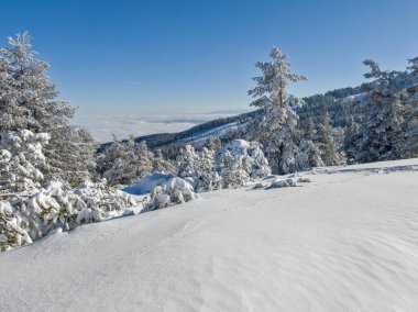 Bulgaristan 'ın Sofya Şehir Bölgesi, Vitosha Dağı' nın İnanılmaz Kış manzarası