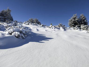 Bulgaristan 'ın Sofya Şehir Bölgesi, Vitosha Dağı' nın İnanılmaz Kış manzarası