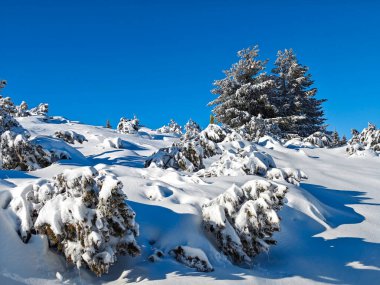Bulgaristan 'ın Sofya Şehir Bölgesi, Vitosha Dağı' nın İnanılmaz Kış manzarası