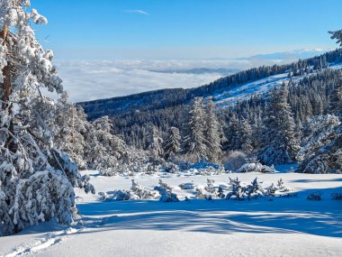 Bulgaristan 'ın Sofya Şehir Bölgesi, Vitosha Dağı' nın İnanılmaz Kış manzarası