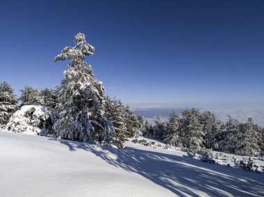 Bulgaristan 'ın Sofya Şehir Bölgesi, Vitosha Dağı' nın İnanılmaz Kış manzarası