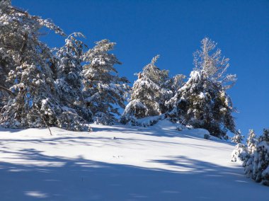 Bulgaristan 'ın Sofya Şehir Bölgesi, Vitosha Dağı' nın İnanılmaz Kış manzarası