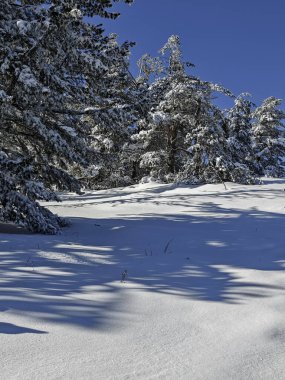 Bulgaristan 'ın Sofya Şehir Bölgesi, Vitosha Dağı' nın İnanılmaz Kış manzarası