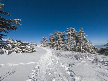Bulgaristan 'ın Sofya Şehir Bölgesi, Vitosha Dağı' nın İnanılmaz Kış manzarası