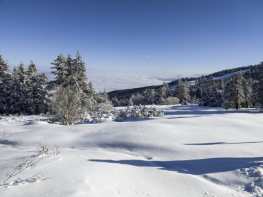 Bulgaristan 'ın Sofya Şehir Bölgesi, Vitosha Dağı' nın İnanılmaz Kış manzarası